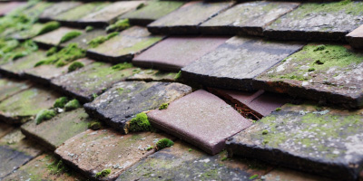 Rockfield roof repair costs